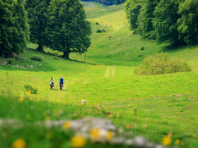 Immagine descrittiva per percorso