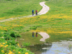 Immagine descrittiva per percorso
