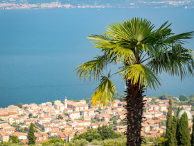 Immagine descrittiva per percorso