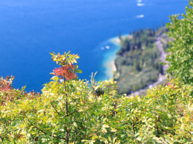 Immagine descrittiva per percorso