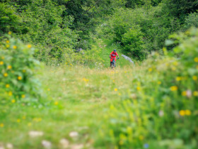 Immagine descrittiva per percorso