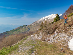 Immagine descrittiva per percorso