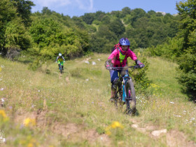 Immagine descrittiva per percorso