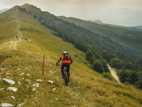 Immagine descrittiva per percorso