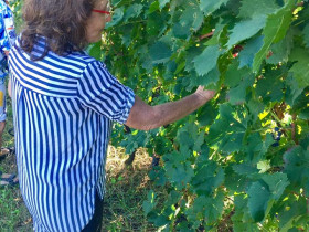 Immagine descrittiva per percorso