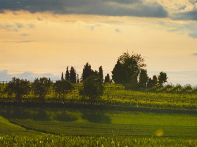 Immagine descrittiva per percorso