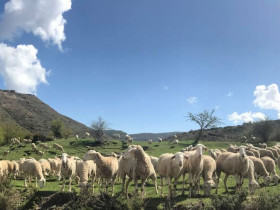 Immagine descrittiva per percorso