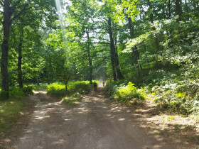 Immagine descrittiva per percorso