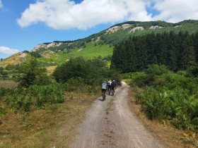 Immagine descrittiva per percorso