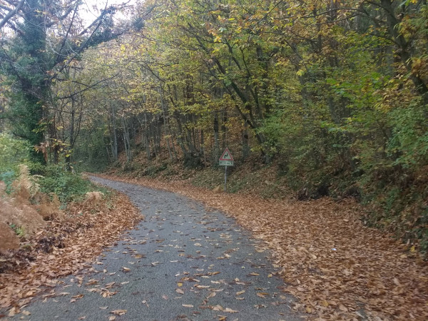 Immagine descrittiva per percorso