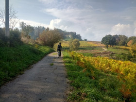 Immagine descrittiva per percorso