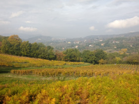 Immagine descrittiva per percorso