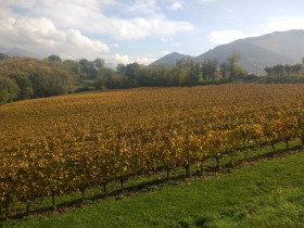 Immagine descrittiva per percorso