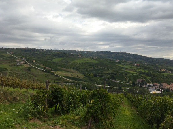 Immagine descrittiva per percorso