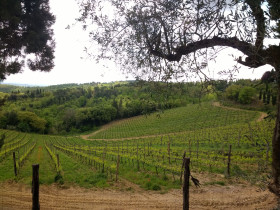 Immagine descrittiva per percorso