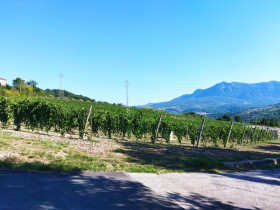 Immagine descrittiva per percorso