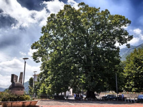 Immagine descrittiva per percorso