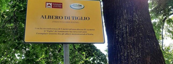 Immagine descrittiva per percorso