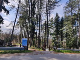 Immagine descrittiva per percorso