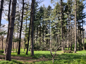 Immagine descrittiva per percorso