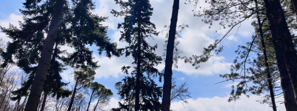 Immagine descrittiva per percorso