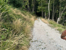 Immagine descrittiva per percorso