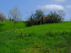 Immagine descrittiva per percorso