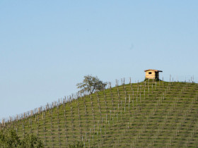 Immagine descrittiva per percorso