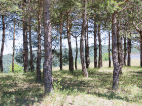 Immagine descrittiva per percorso