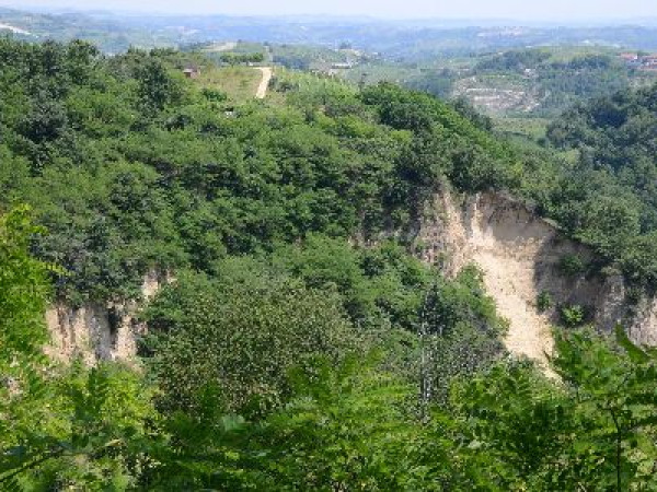 Immagine descrittiva per percorso