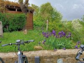 Immagine descrittiva per percorso