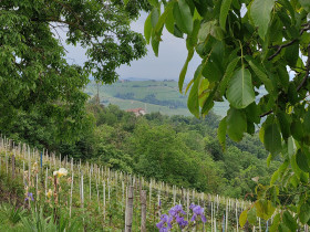 Immagine descrittiva per percorso