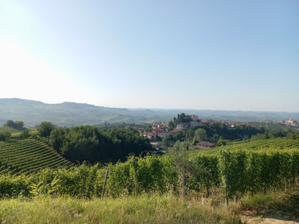 Immagine descrittiva per percorso