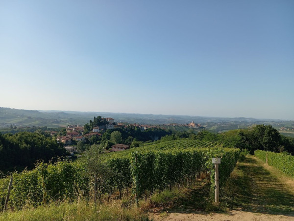 Immagine descrittiva per percorso