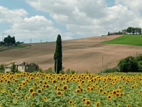 Immagine descrittiva per percorso