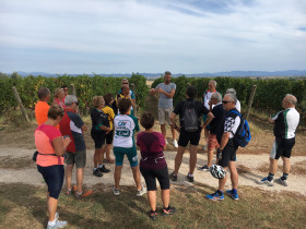 Immagine descrittiva per percorso