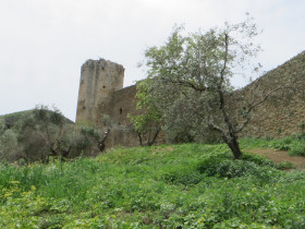 Immagine descrittiva per percorso