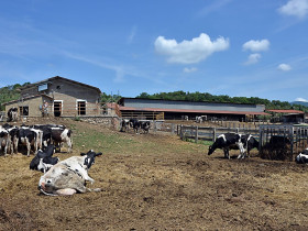 Immagine descrittiva per percorso