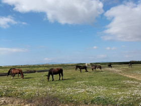 Immagine descrittiva per percorso