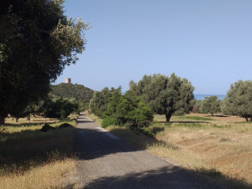 Immagine descrittiva per percorso