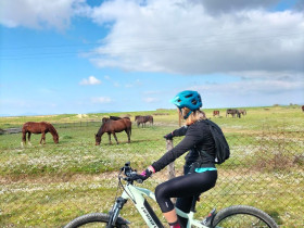 Immagine descrittiva per percorso