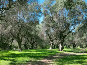 Immagine descrittiva per percorso