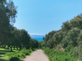 Immagine descrittiva per percorso