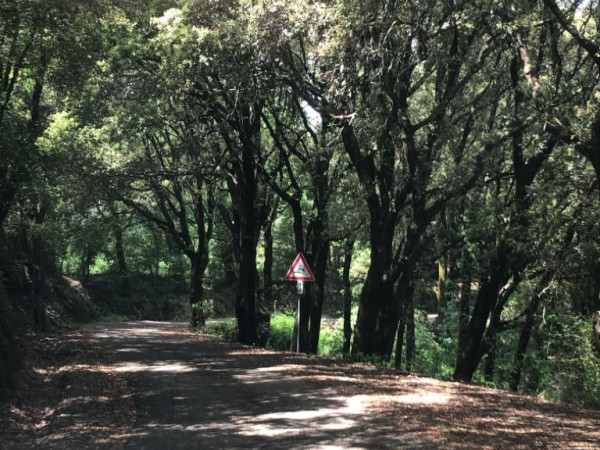 Immagine descrittiva per percorso