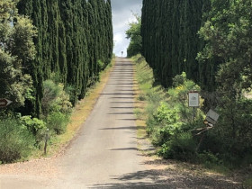 Immagine descrittiva per percorso