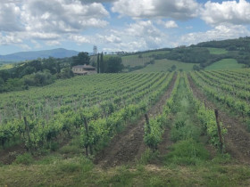 Immagine descrittiva per percorso