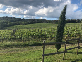 Immagine descrittiva per percorso