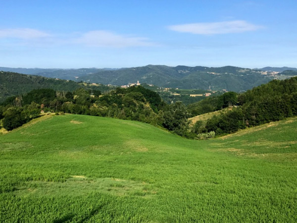 Immagine descrittiva per percorso