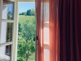 Immagine descrittiva per percorso