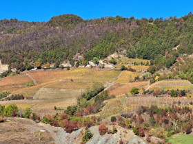 Immagine descrittiva per percorso